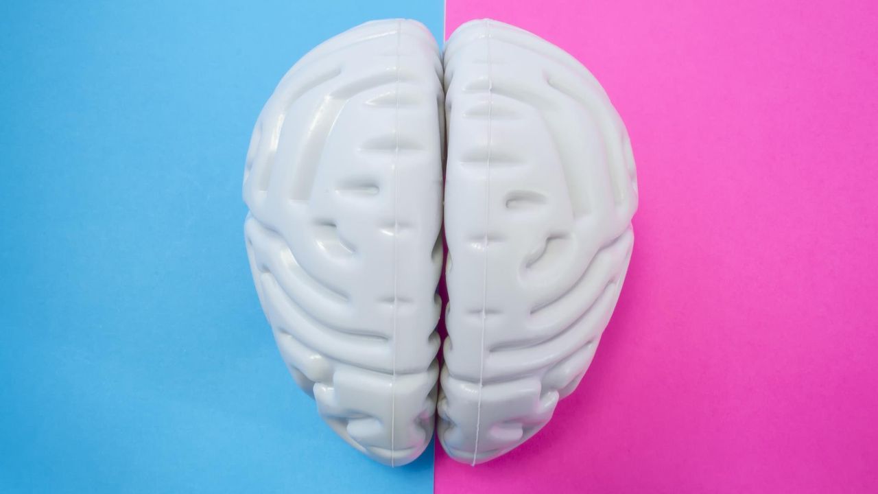 Antidepressant Ketamine Proves More Effective in Mice When Administered by a Male