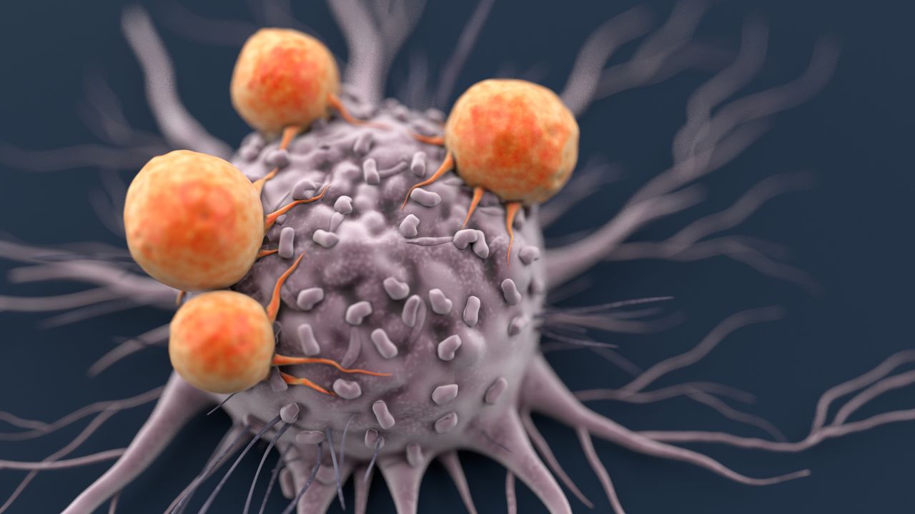 Five Ways To Measure Immunotherapy Potency