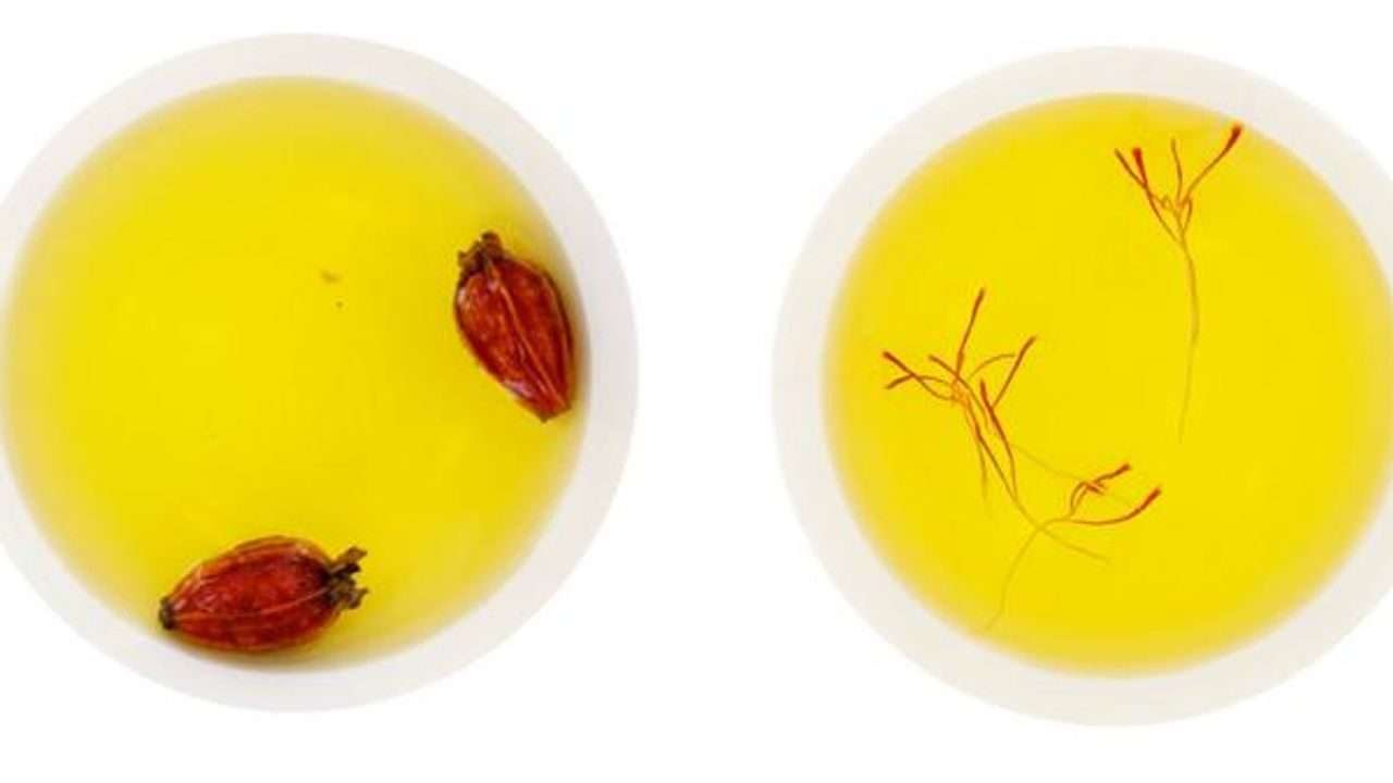 Harnessing Saffron's Power for Food and Therapeutics