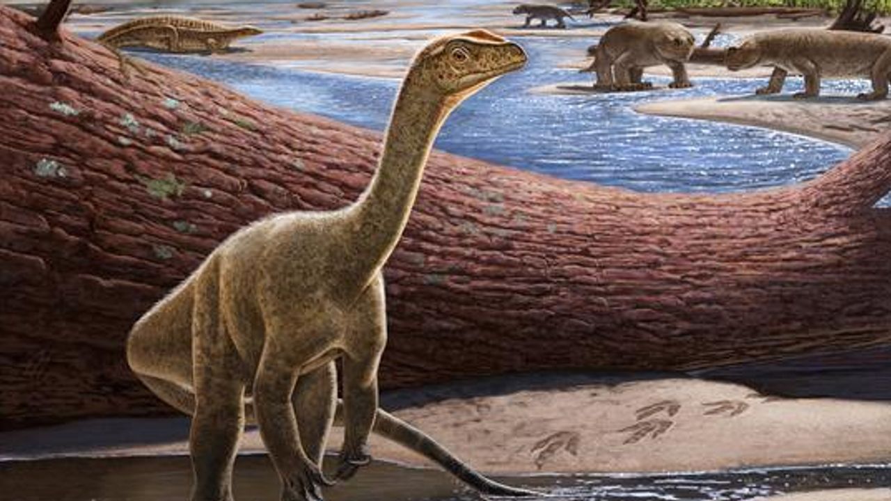 Africa’s Oldest Known Dinosaur Discovered and Named