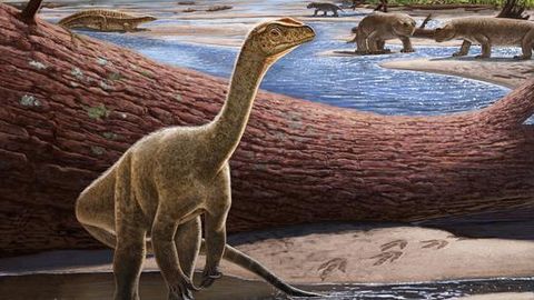 Africa’s Oldest Known Dinosaur Discovered and Named