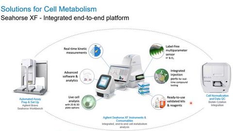 Cell Analysis Division