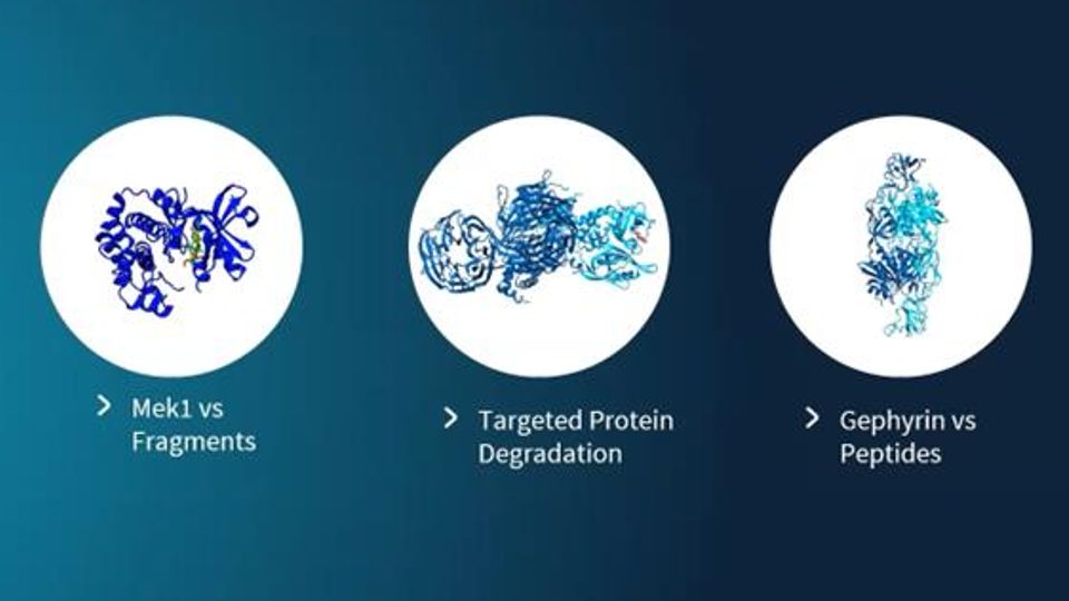 Successful Affinity-Based Lead Identification and Optimization for Challenging Targets and Ligands content piece image