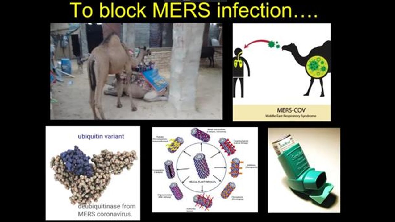 Plant Virus Nanoparticles: New Applications for Developing Countries