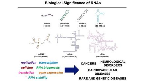Enabling Technologies for Revealing Druggable Paths in RNA Biology