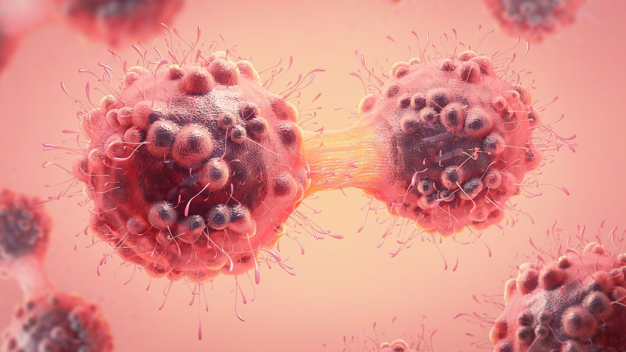 Identifying Undiagnosable Cancers Using Machine Learning