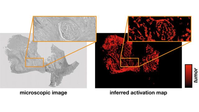 New Approach Aims To Open AI's Black Box content piece image 