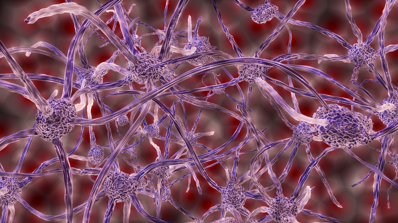 Stem Cell Gene Therapy Shows Promise in ALS Trial