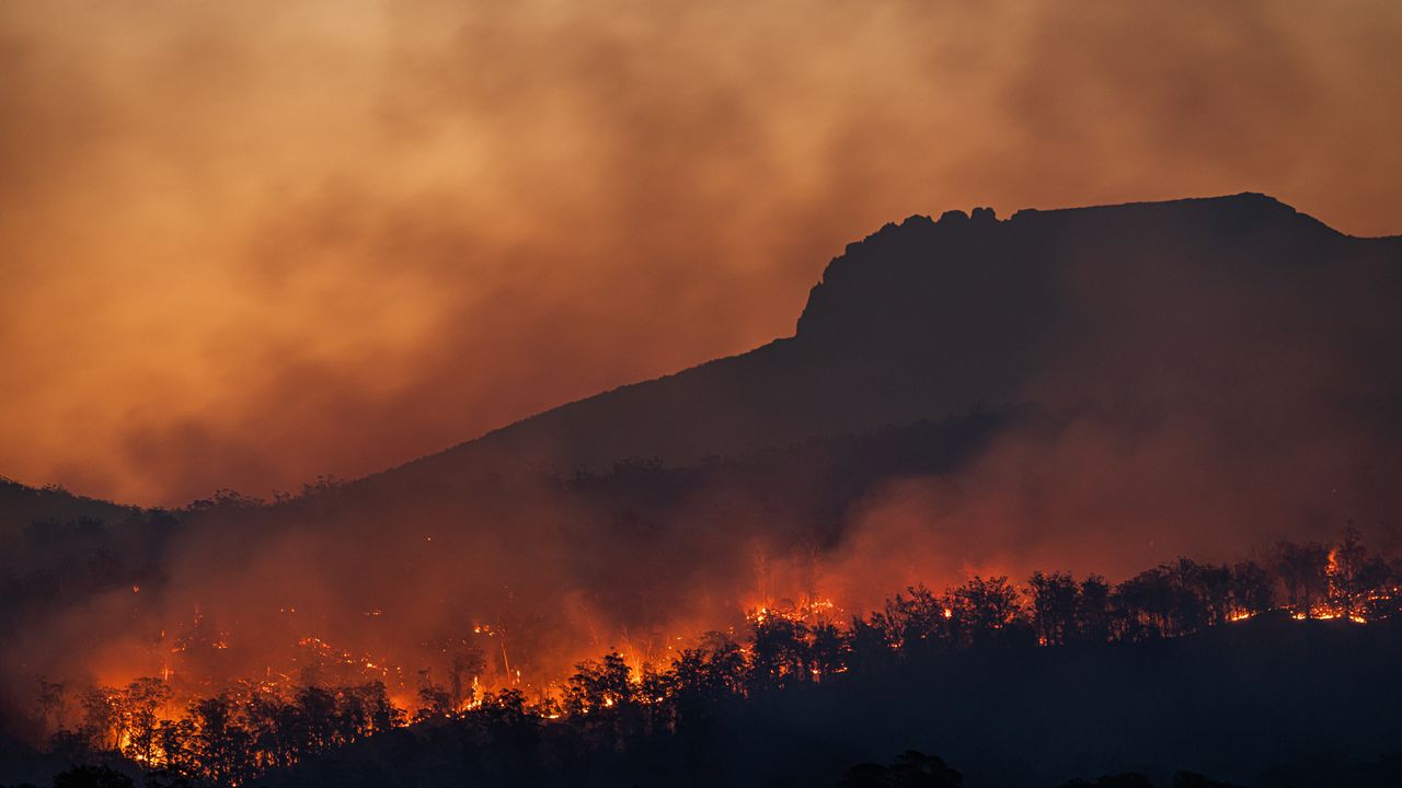 People Who Are Unmoved by Climate Destruction Are Less Emotional in General