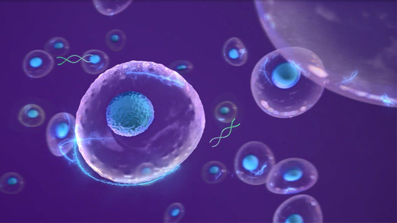 Genome Editing of Immune Cells