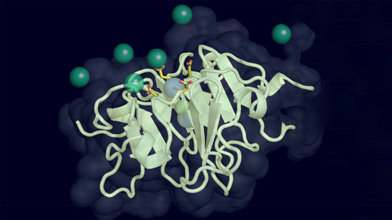 Key Blood Protein Could Unlock Age-Related Vision Loss