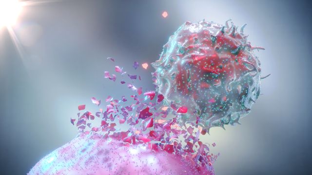 Cellular “Waste Product” Restores Cancer-Fighting Immune Cells content piece image 