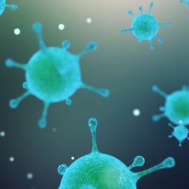 Influenza's Cellular Invasion: A New Perspective Through Advanced Microscopy