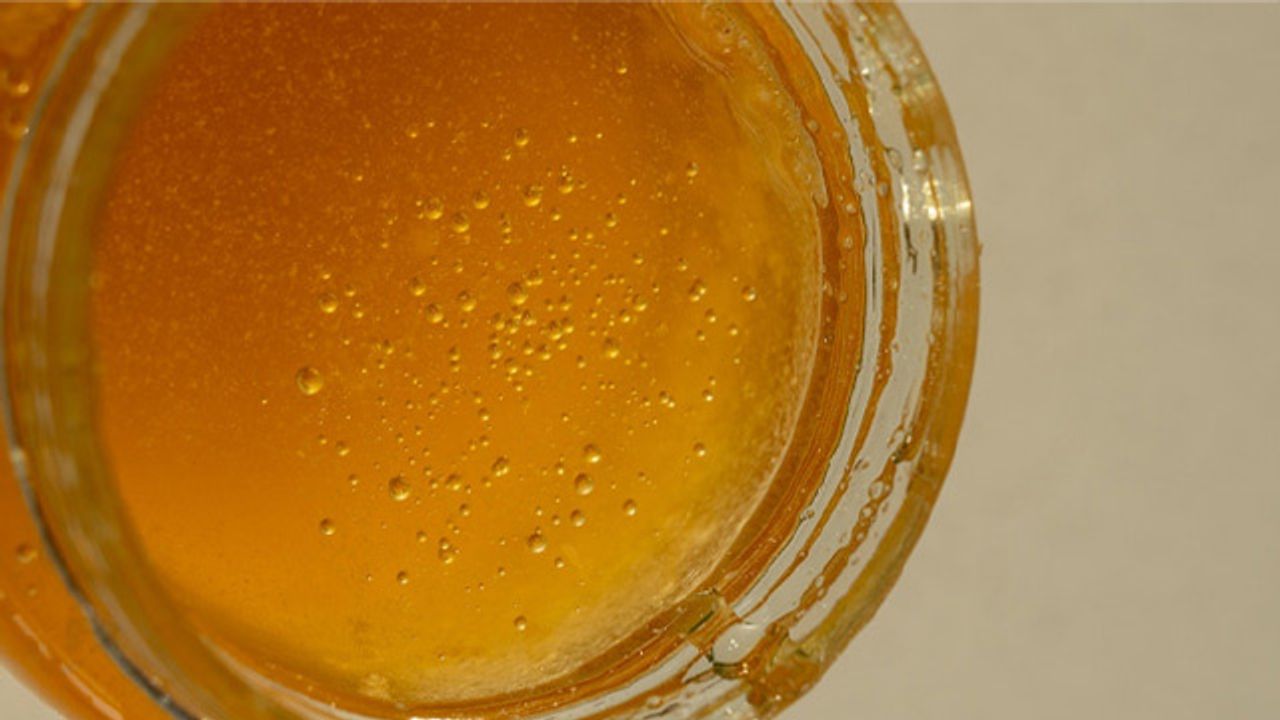 Manuka Honey May Help Clear Drug-Resistant Lung Infection