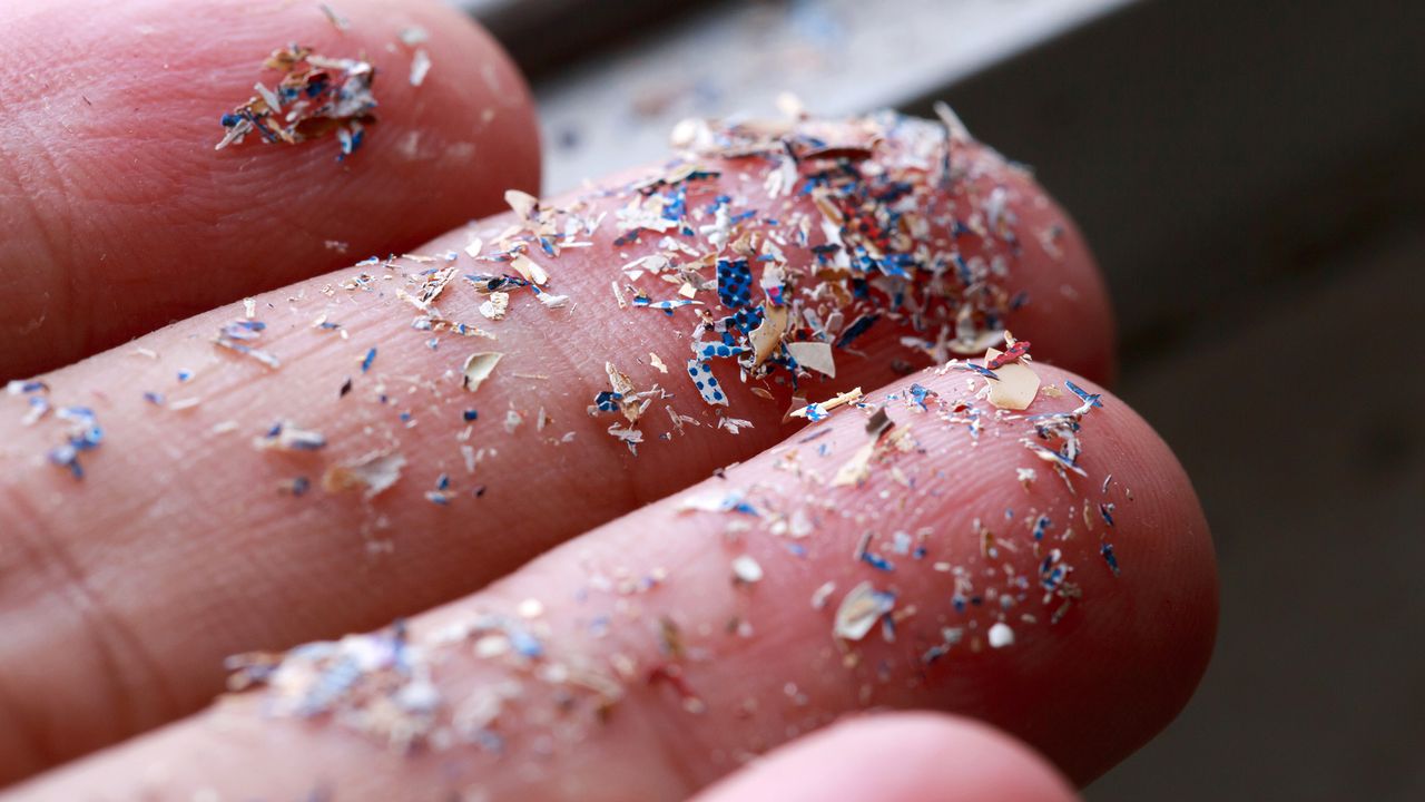 The Microplastic Emergency With Professor Éva Valsami-Jones