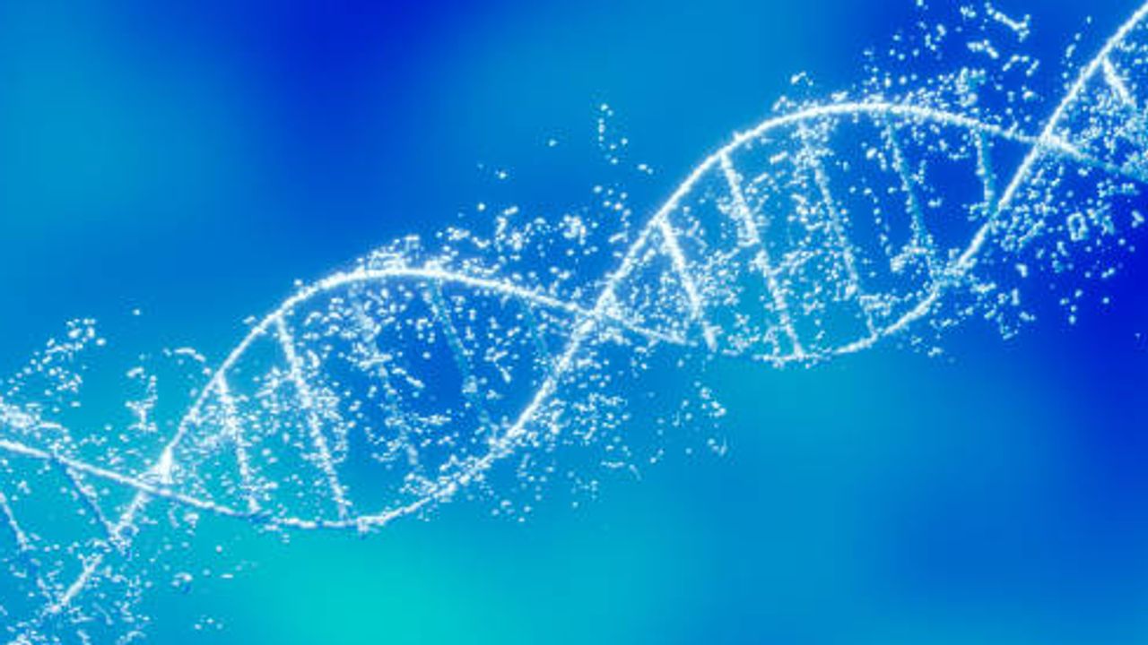 Identifying Genetic Drivers of Innate Immunity Using Custom Targeted CRISPR Screens