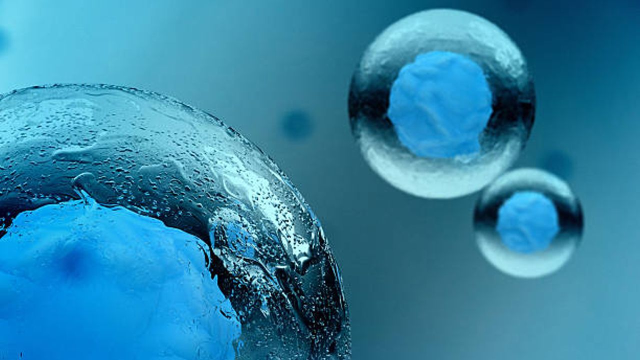 Keep it Cool: Cellular Cryopreservation for Clinical Applications