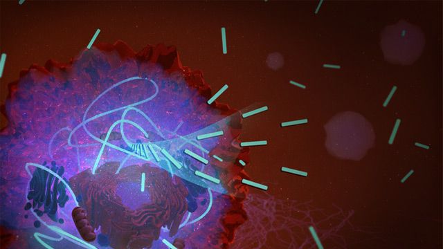 自组装分子“窒息”,消除癌细胞图像内容块