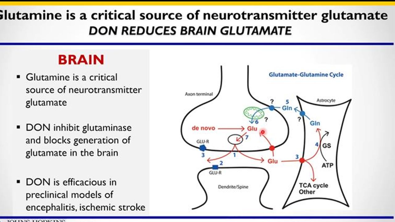 Discovery of Novel Glutamine Antagonist Prodrugs: A Story from Bench 2 Bedside