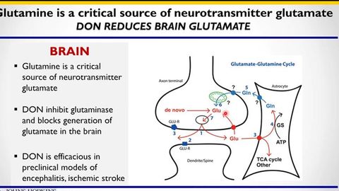 Discovery of Novel Glutamine Antagonist Prodrugs: A Story from Bench 2 Bedside
