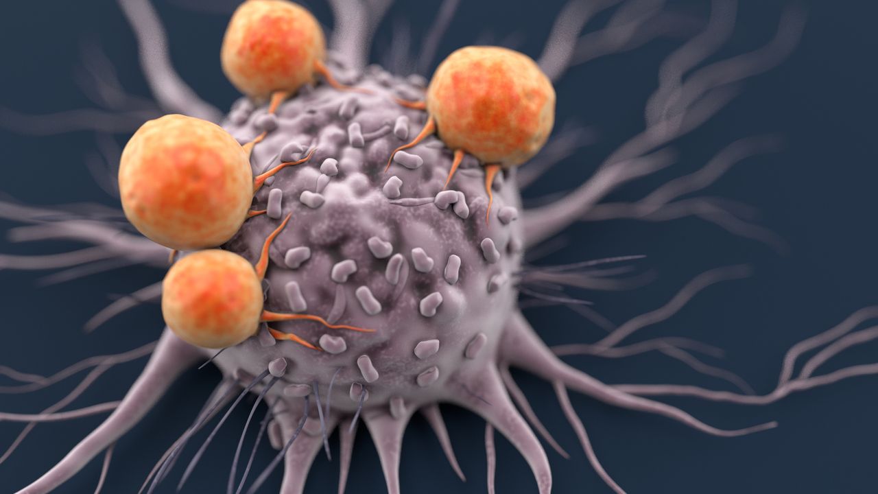 T Cells That "Nibble" Tumors Help Cancer Evade the Immune Response