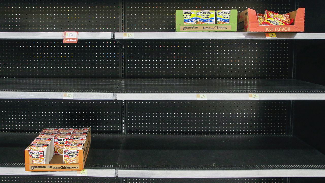 Food Insecurity Leads to Lasting Brain Changes in Mice