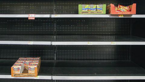 Food Insecurity Leads to Lasting Brain Changes in Mice