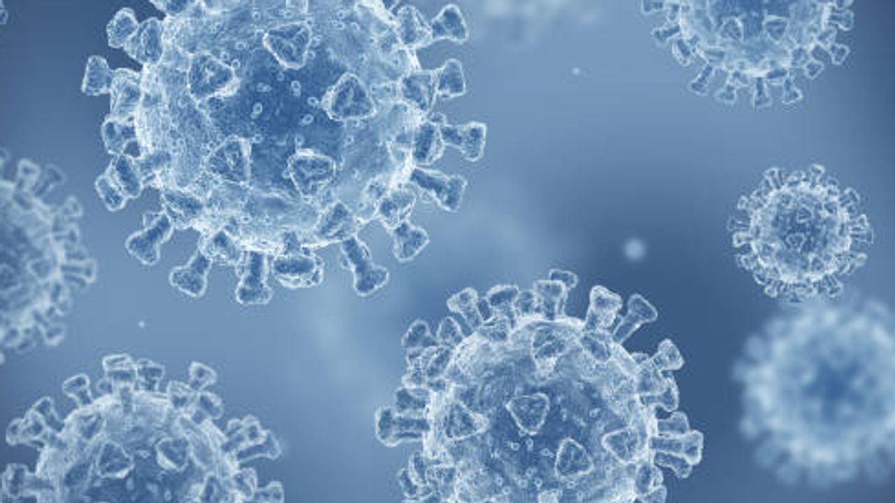 What Can Proteomics Teach Us About Infectious Disease