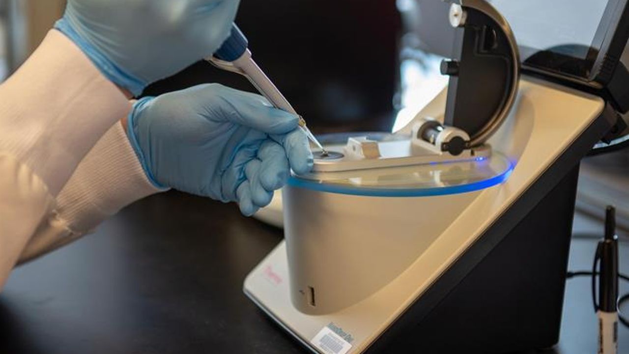 New Approach More Than Doubles Stem Cell Editing Efficiency