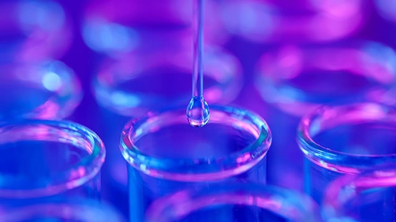 DNA Purity Ratio