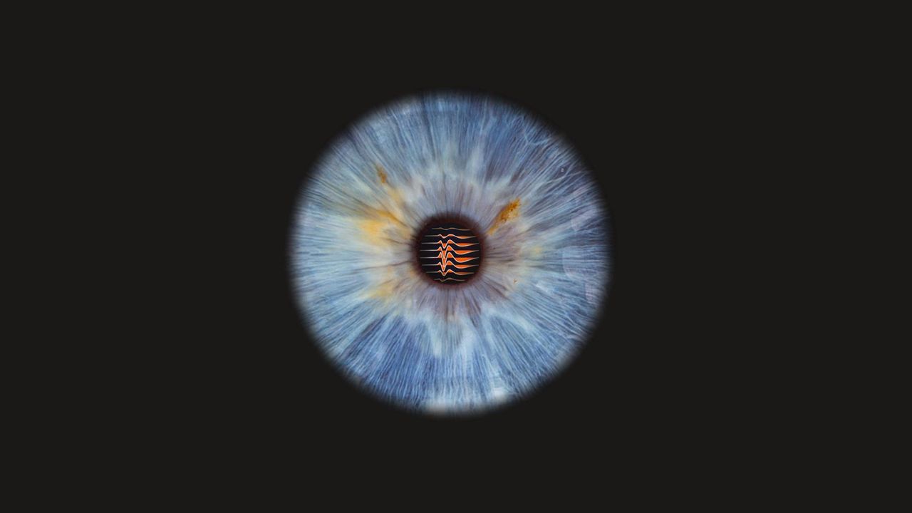 The Eye's Connections to the Brainstem Revealed for the First Time