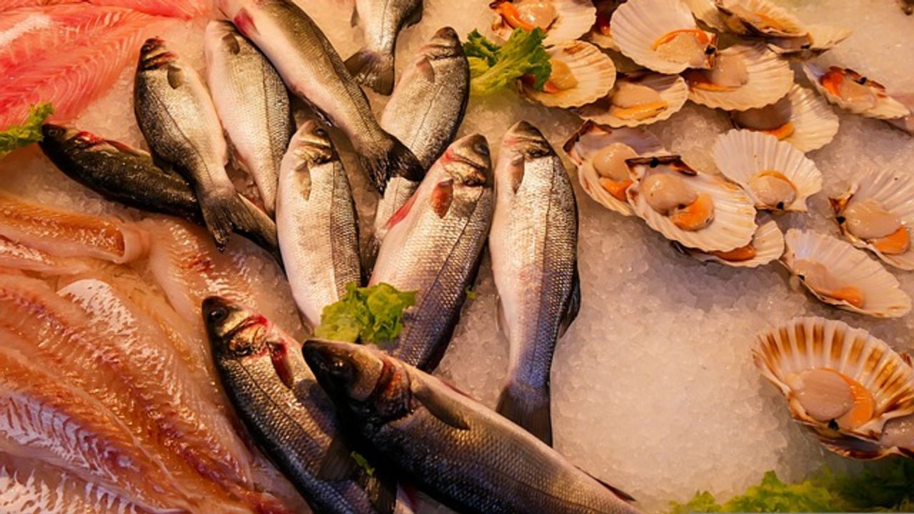 Catching Seafood Fraudsters With Chemical Fingerprinting