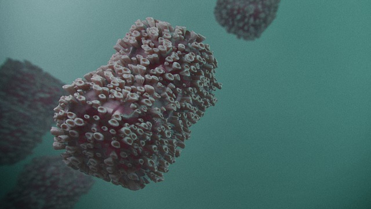 Wastewater Monitoring Could Aid Understanding of Monkeypox Spread