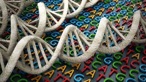Many Repetitive Sequences Are Shared Across Proteins