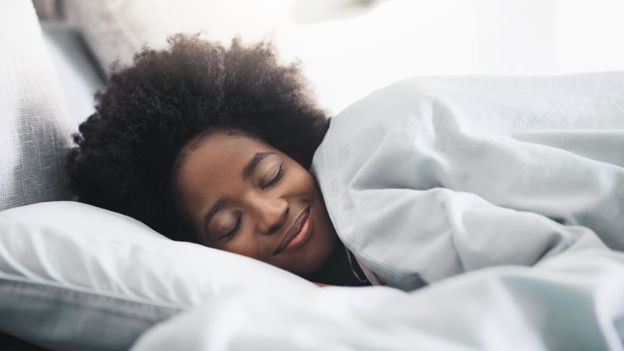 REM Sleep May Act as a Thermostat for the Brain
