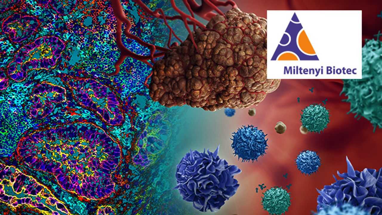 The Tumor Microenvironment Series: The Tumor Microenvironment in a Nutshell