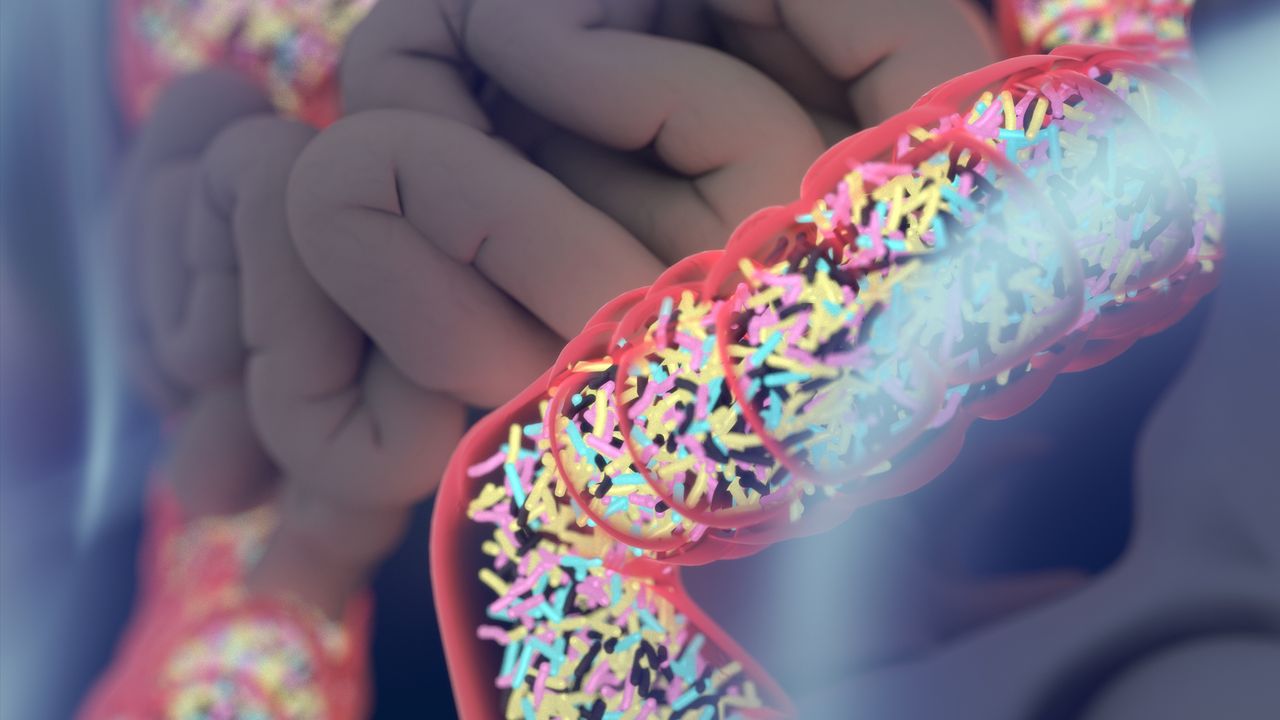 How Gut Bacteria Change During Multiple Sclerosis