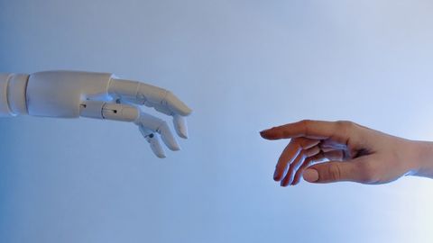 "Frankenstein" Shapes Reveal How AI Sees the World Differently