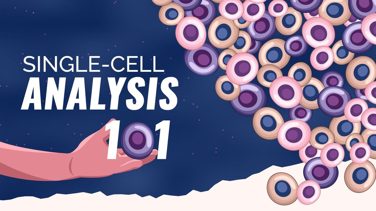 Single-Cell Analysis