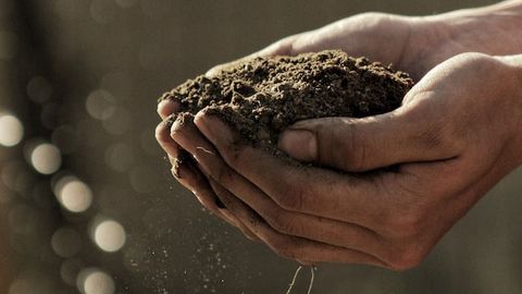 Gene Behind “Mysterious” Soil Virus Seen for the First Time