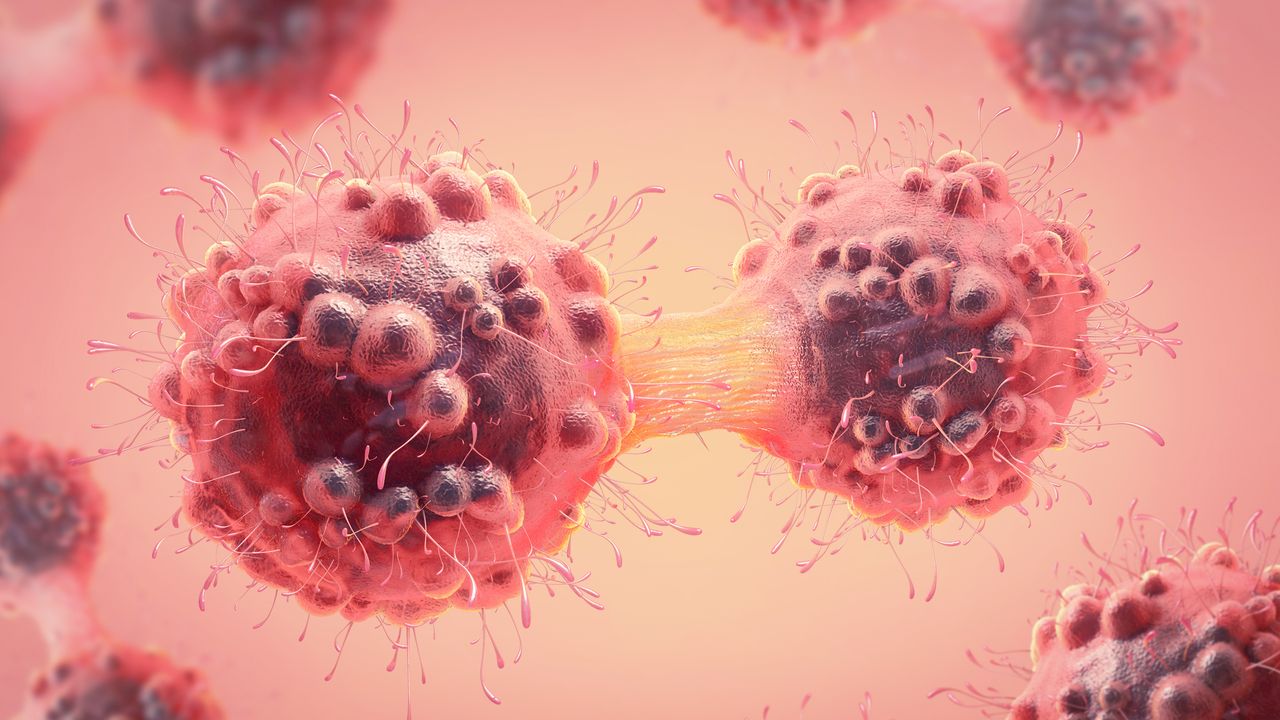 Shutting Down "Backup Genes" Leads to Ovarian Cancer Remission in Mice
