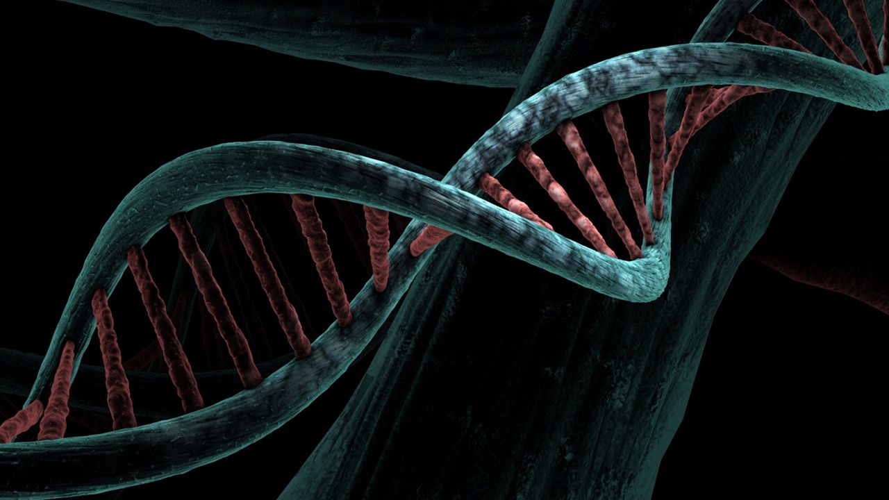 Genomic Testing Can Identify African American Prostate Cancer Patients Who Have High-Risk Disease