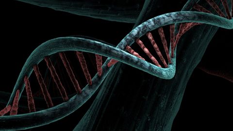 Genomic Testing Can Identify African American Prostate Cancer Patients Who Have High-Risk Disease