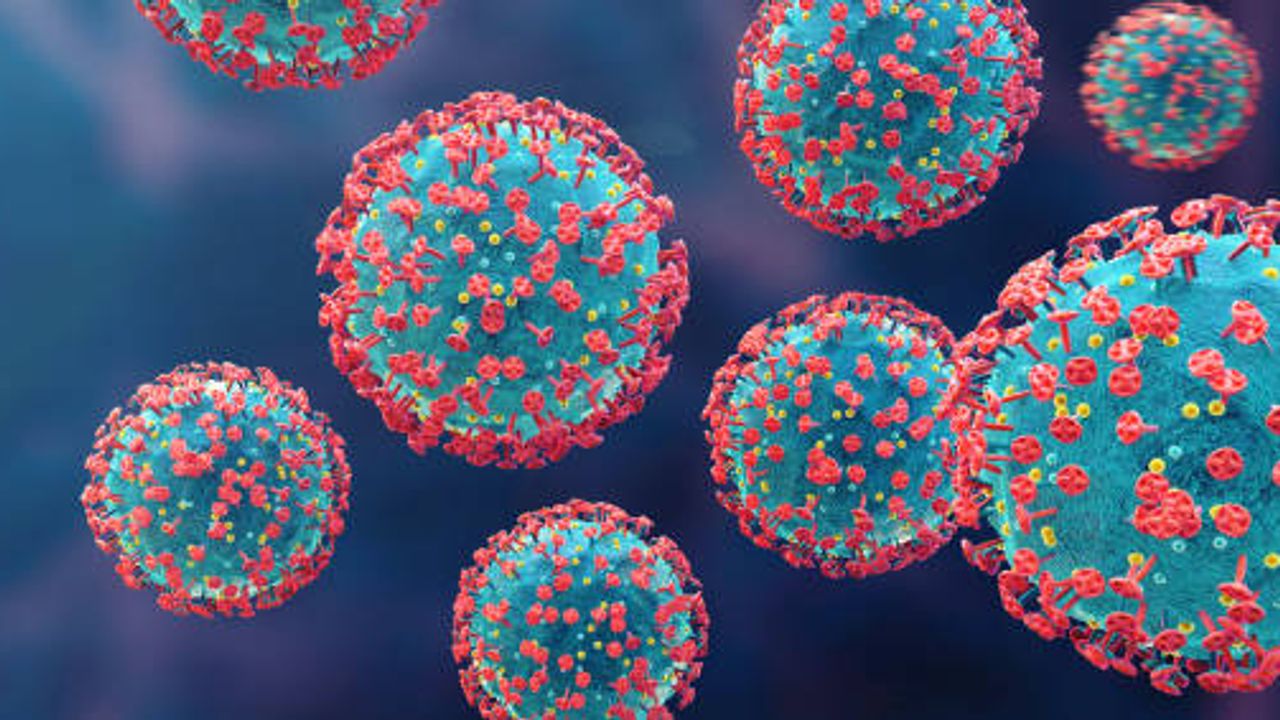 Seamless Science for 3D Cell Models