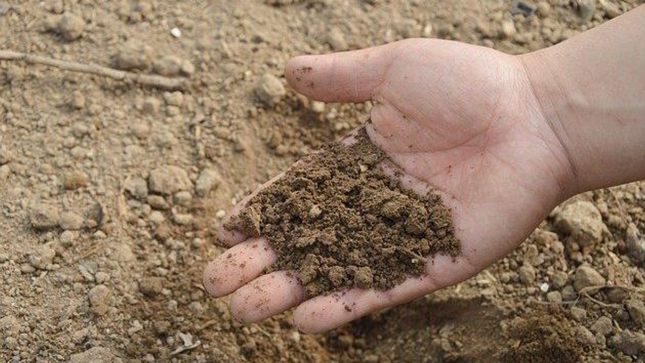 A Human’s BMI Impacts How Their Body Changes Soil Microbiome After Death and Decomposition