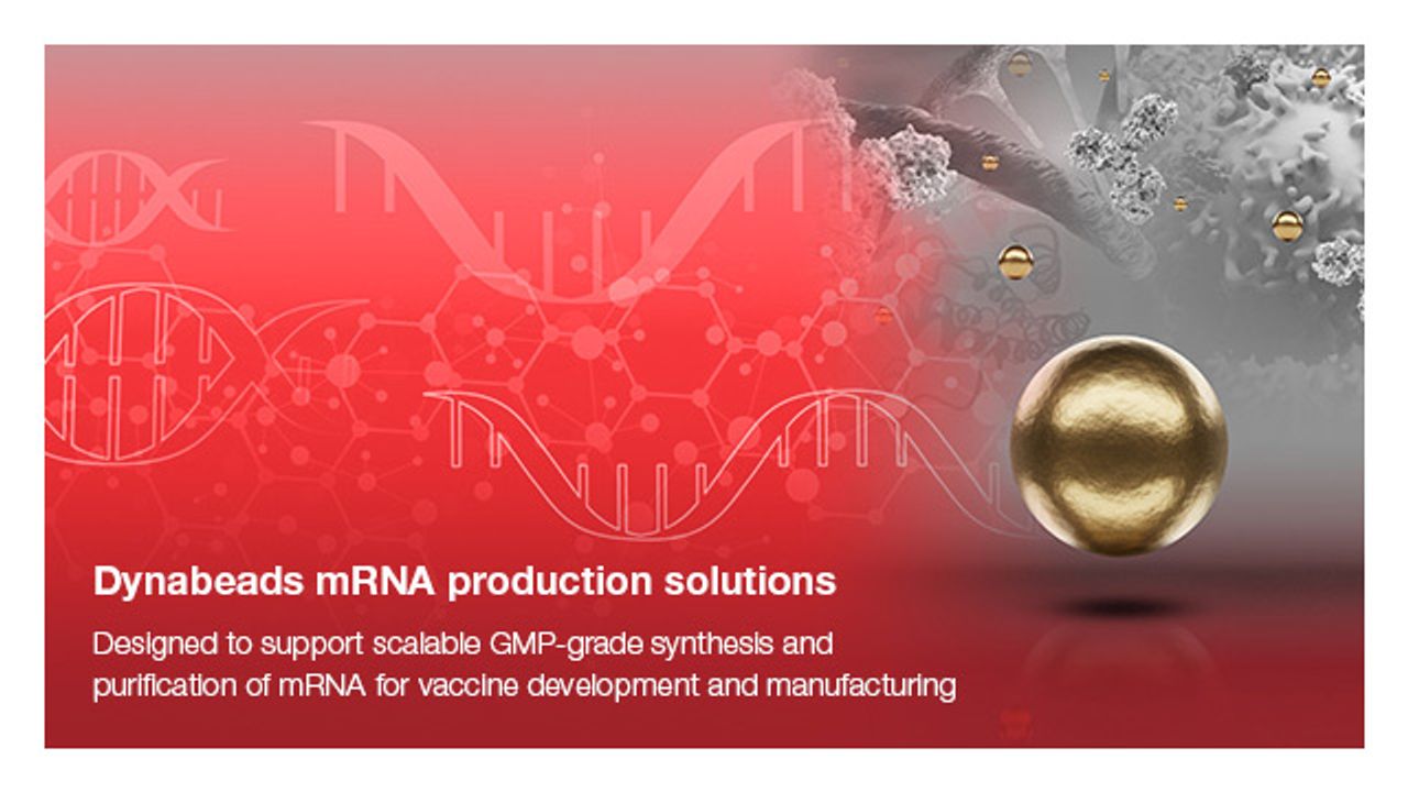 Thermo Fisher Scientific Introduces Customized Dynabeads Solutions for Scalable mRNA Production