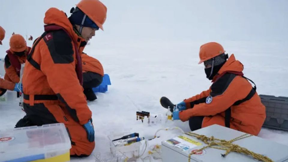 Fast-Melting Arctic Ice Linked to Ocean Acidification content piece image