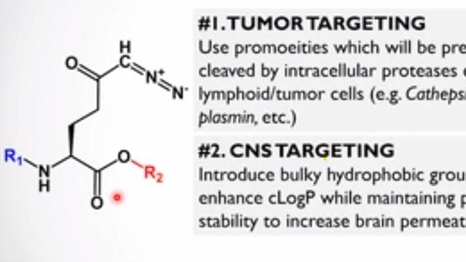 Discovery of Novel Glutamine Antagonist Prodrugs: A Story From Bench 2 Bedside content piece image