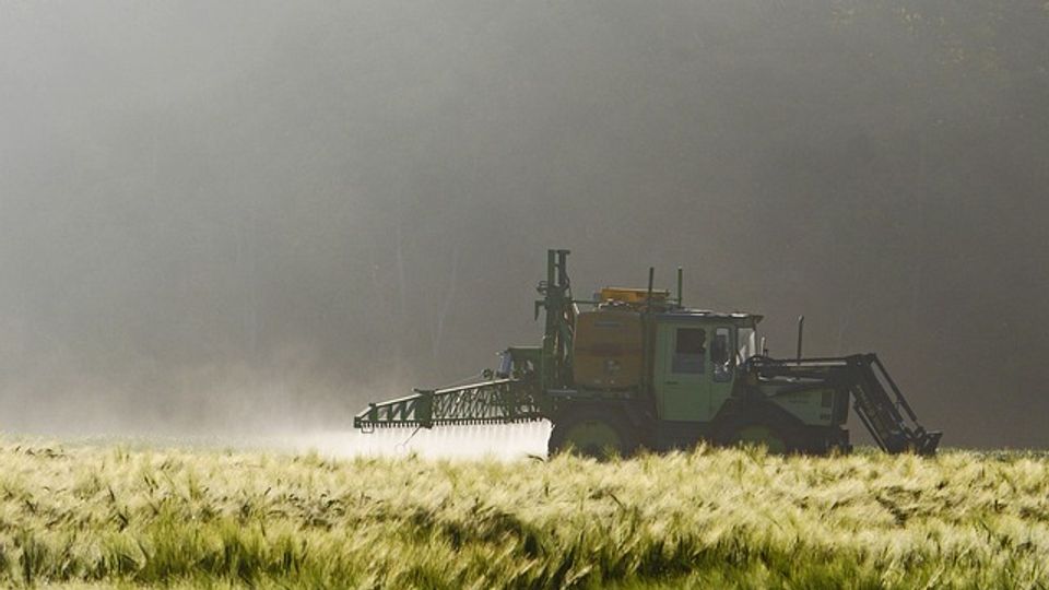 A tractor with crop sprayer spraying barley.
