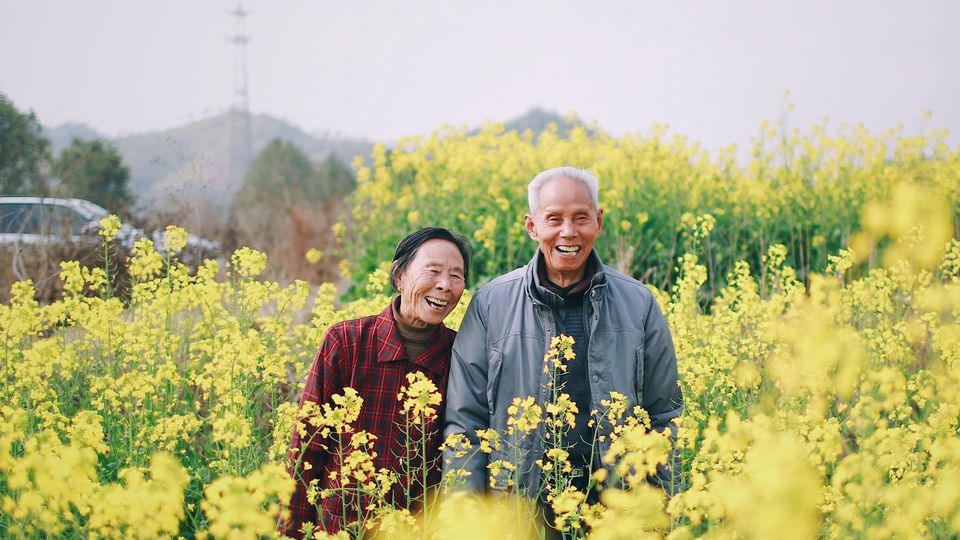 Healthy Aging Strategies Have To Consider Personality Type content piece image